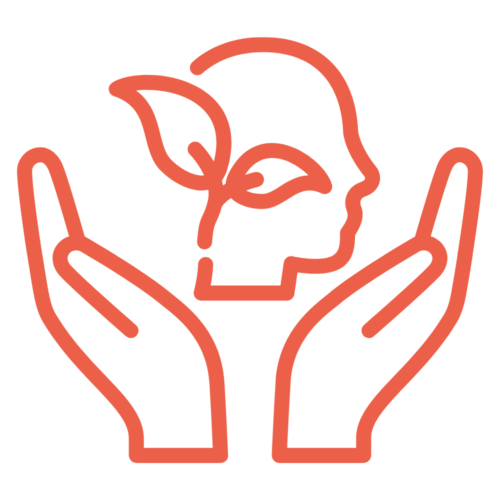 Teachers' wellbeing practices